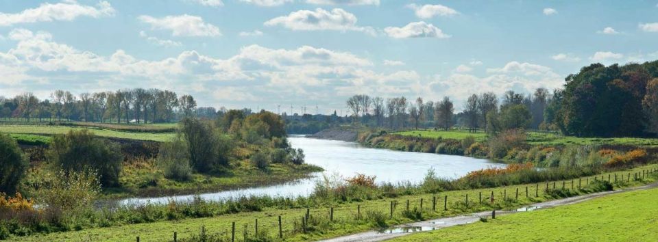 Nieuwe locatie Maasland